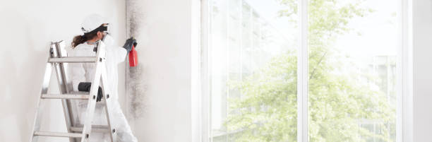Best Mold-Related Health Consultation  in Bruceton, TN